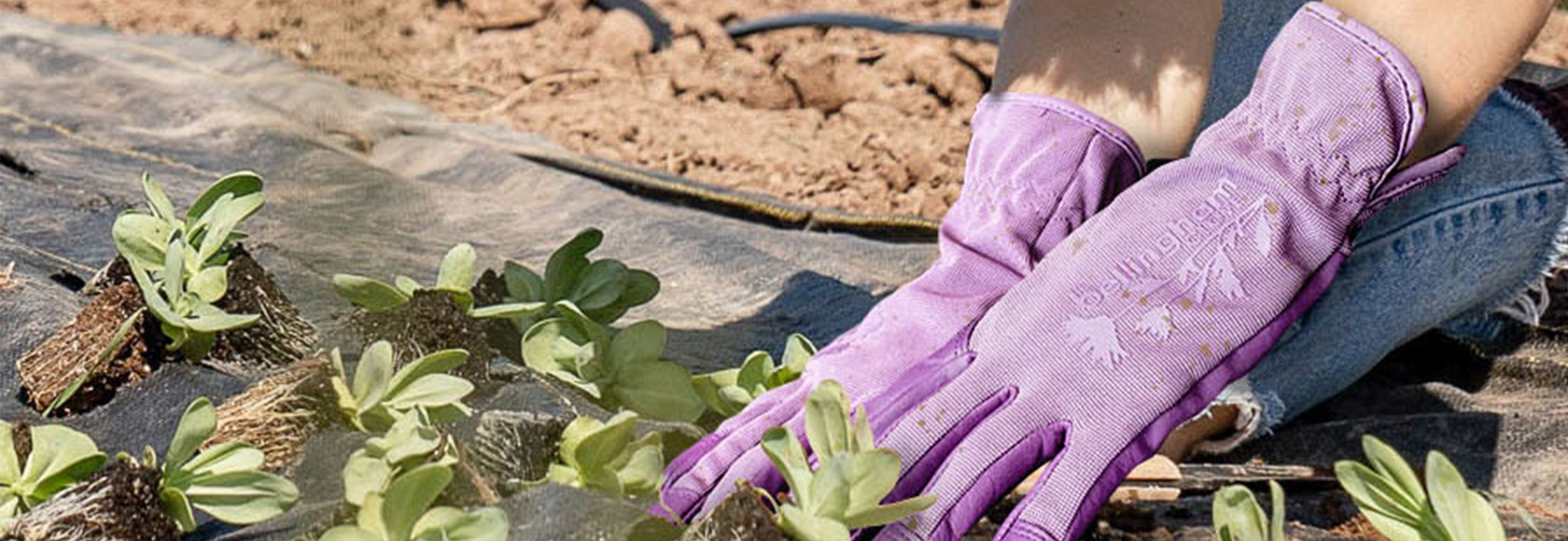 Radians C1850acm Bellingham Garden Gloves, Medium - Walmart.com